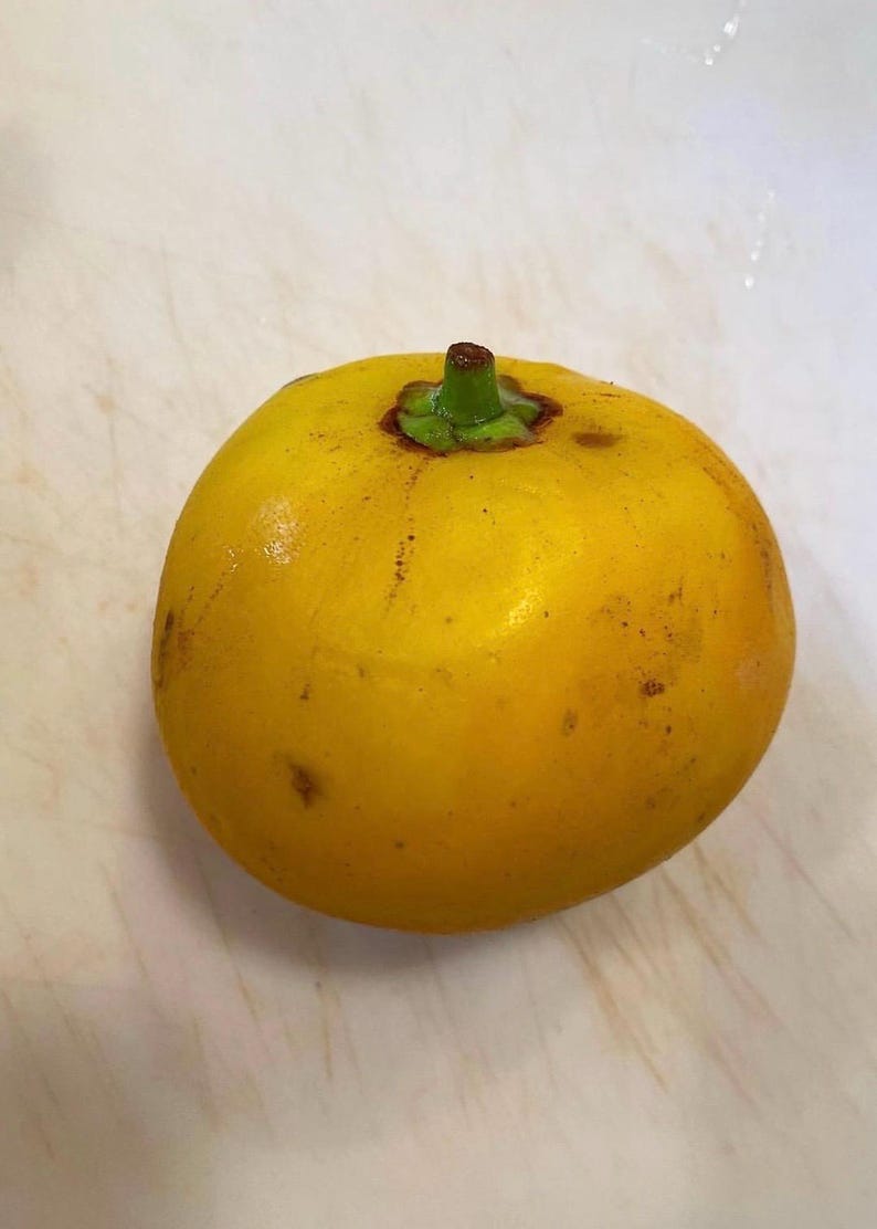 K&ouml;nnte beinhalten: Nahaufnahme einer reifen, gelben Frucht mit einem gr&uuml;nen Stiel und einer braunen Kappe. Die Frucht ist rund und hat eine glatte Oberfl&auml;che mit ein paar braunen Flecken. Die Frucht ist wahrscheinlich eine Art Zitrusfrucht.