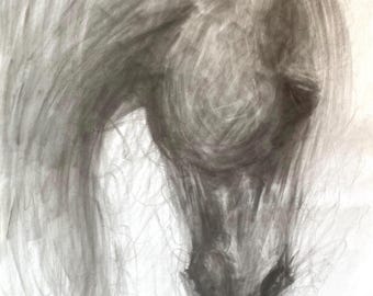 Original Charcoal Horse Drawing, Equine Wall Art - 18x24 inches