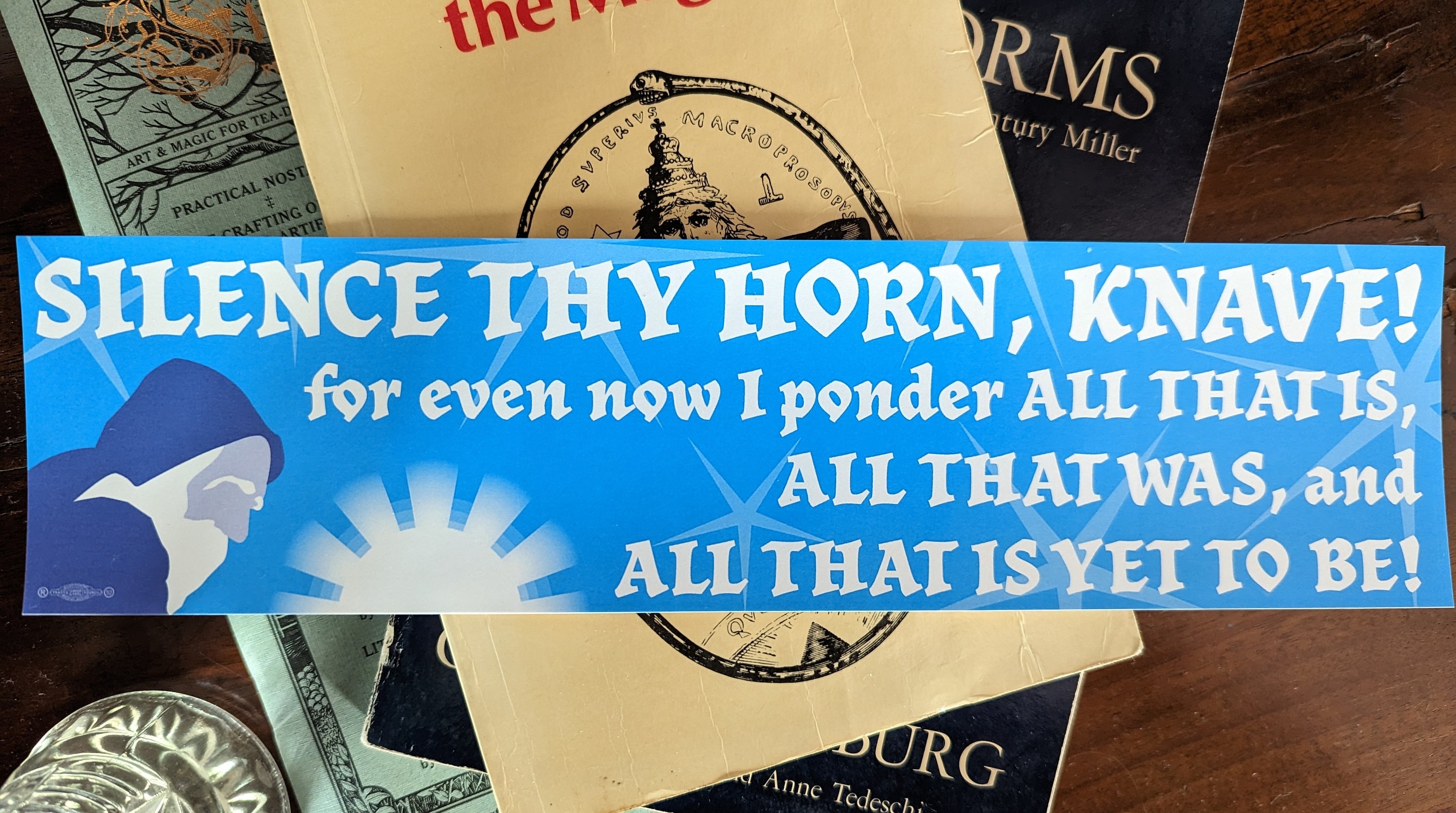 PONDERING WIZARD Bumper Sticker! Let other drivers know that you're exploring the COSMOS!