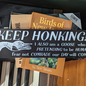 Keep Honking! Goose Espionage Bumper Sticker