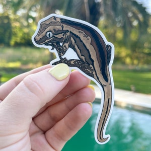 Gargoyle Gecko Sticker