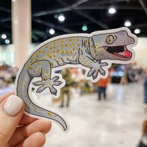 Tokay Gecko Sticker | Anger Gecko