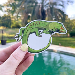 Day Gecko Sticker