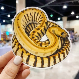 Woma Python Sticker