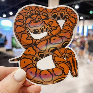 Brazillian Rainbow Boa Sticker