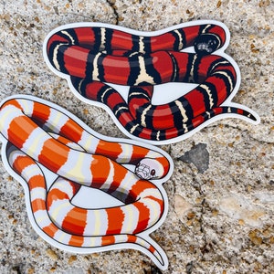 Milksnake Sticker | Pueblan Milk Snake | Honduran Milk Snake | Albino Milksnake