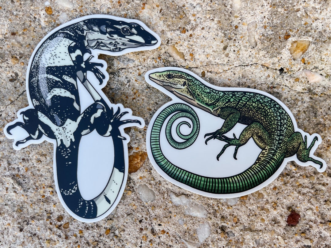 Monitor Stickers Green Tree Monitor Lace Monitor Sticker Etsy