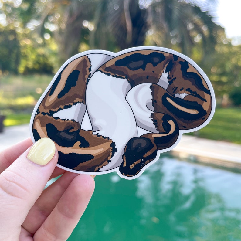 MULTIPLE MORPHS Ball Python Sticker Normal Piebald - Etsy