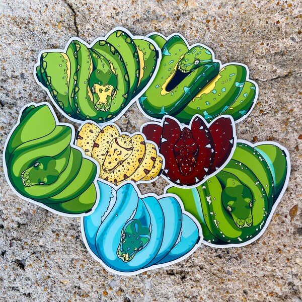 Green Tree Python Sticker | Manokwari Sticker | Aru | Bias | Blue | Green | Red Neonate | Yellow Neonate