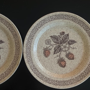 Antique Strawberry Plates | Set of 2 | Summer Serveware | Cottagecore Kitchen Decor