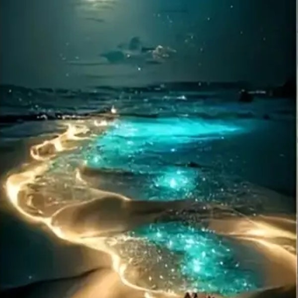 Seaside Moonlight