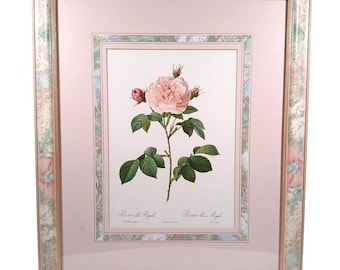 Rosa Alba Regalis by Redoute Rose Botanical Lithograph 1950s Matted & Framed