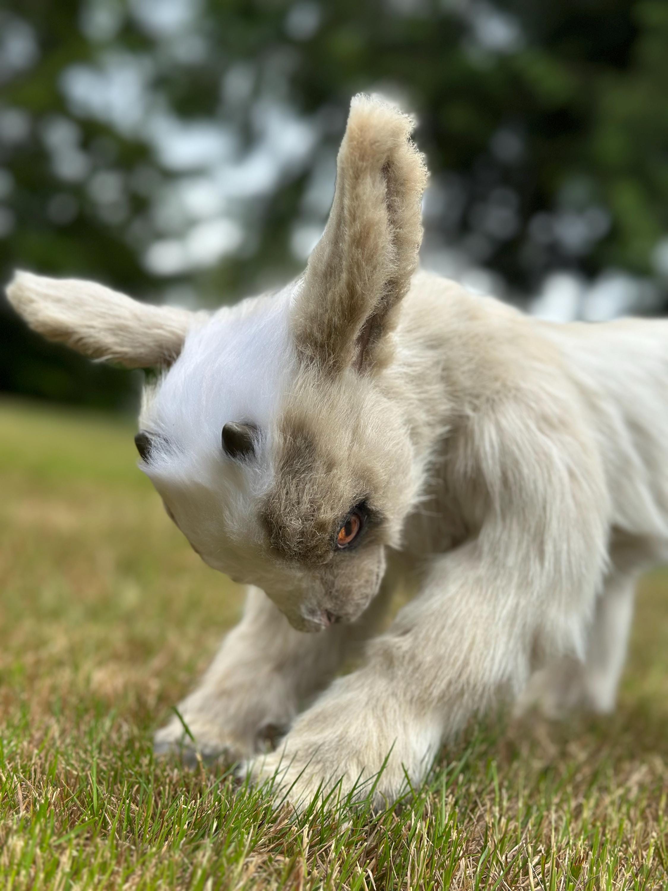 Goat Billy realistic toy