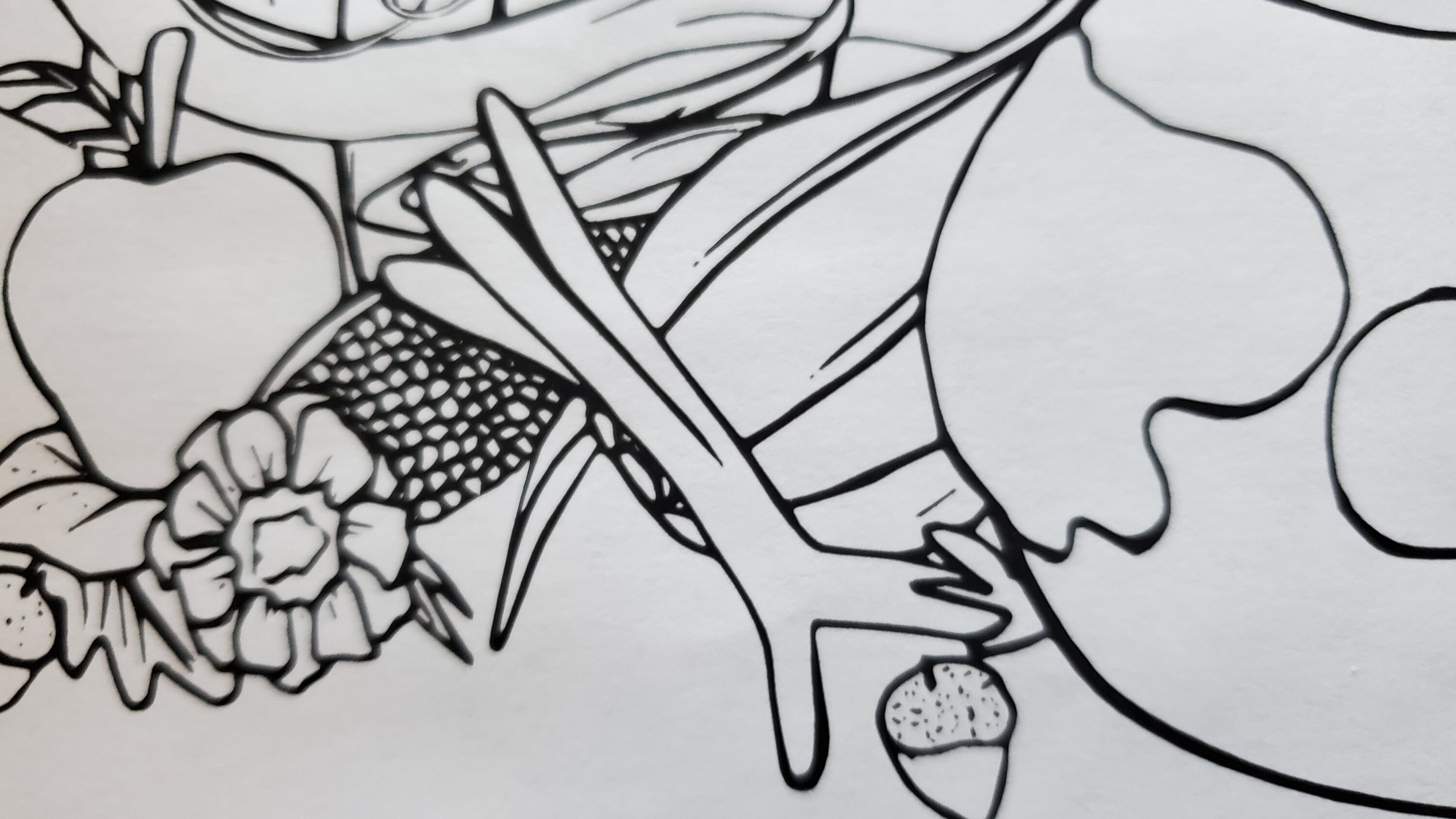 Cartoon Turkey Coloring Page Perfect for Thanksgiving Fun Etsy