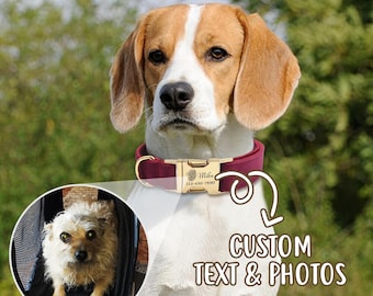 Custom Velvet Dog Collar: Personalized Pet Portrait & ID Tag
