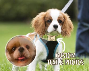 Custom Velvet Dog Collar: Personalized Pet Portrait & ID
