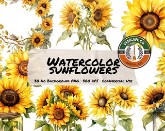 Clipart di girasoli dell'acquerello - Girasole autunno floreale autunno fiore fiori selvatici bouquet bouquet estivo Clip Art in PNG per uso commerciale