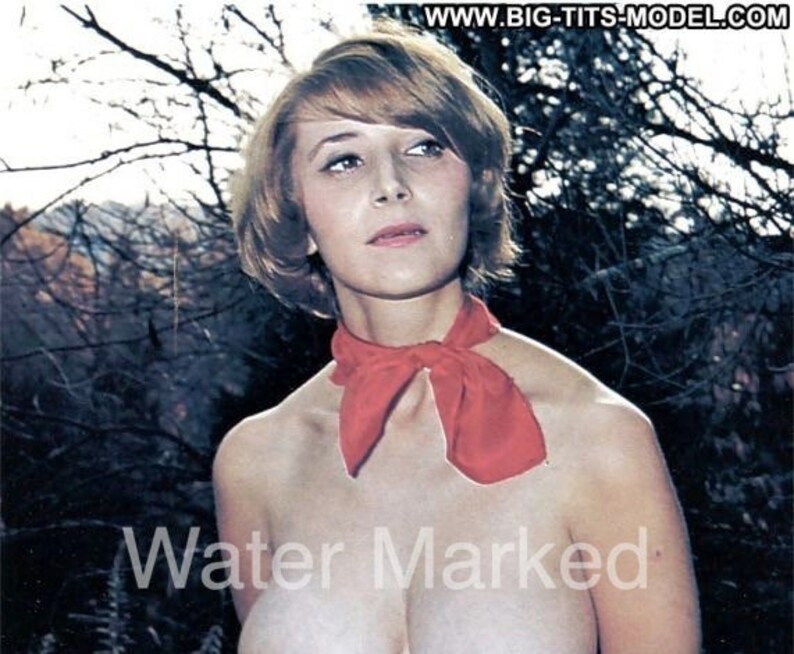 Giant Jugs Retro Model Pictorials 6 - Etsy UK