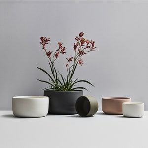 Puede incluir: Cuatro macetas de cerámica en diferentes colores y tamaños. La maceta más grande es de color gris oscuro y contiene una planta con flores rojas. Las otras macetas son blancas, marrón claro y verde oscuro.