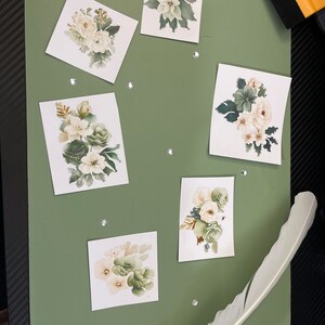 White and pink flower pack