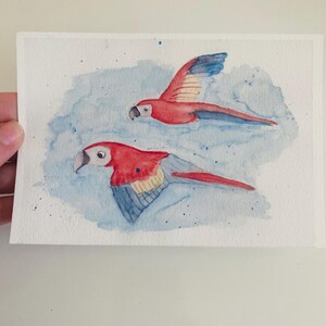 Postal loros voladores / Postal A6 / Postal niños / Tarjeta de cumpleaños / Postal guacamayos voladores