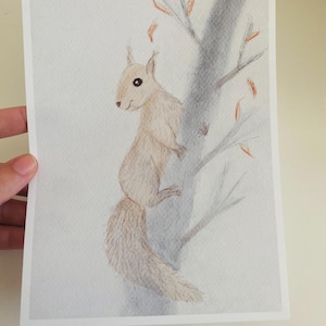 Postkarte Eichhörnchen/ Postkarte A5/ Postkarte Kinder/ Geburtstagskarte