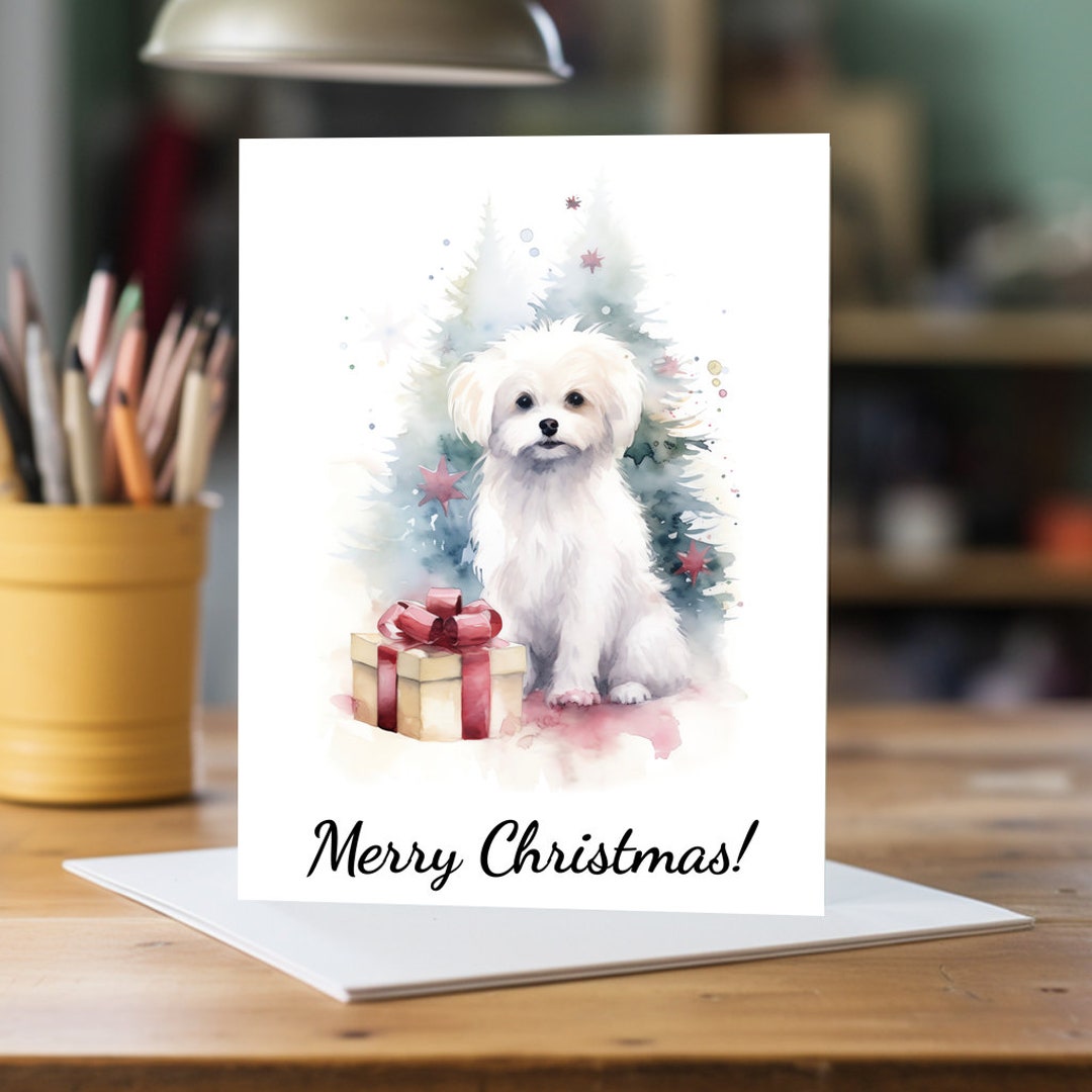 Maltese Christmas Cards 