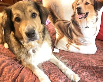 Custom Shaped Dog Pillow: Soft Polyester, Zipper-Free, Vibrant Print (3 Sizes)