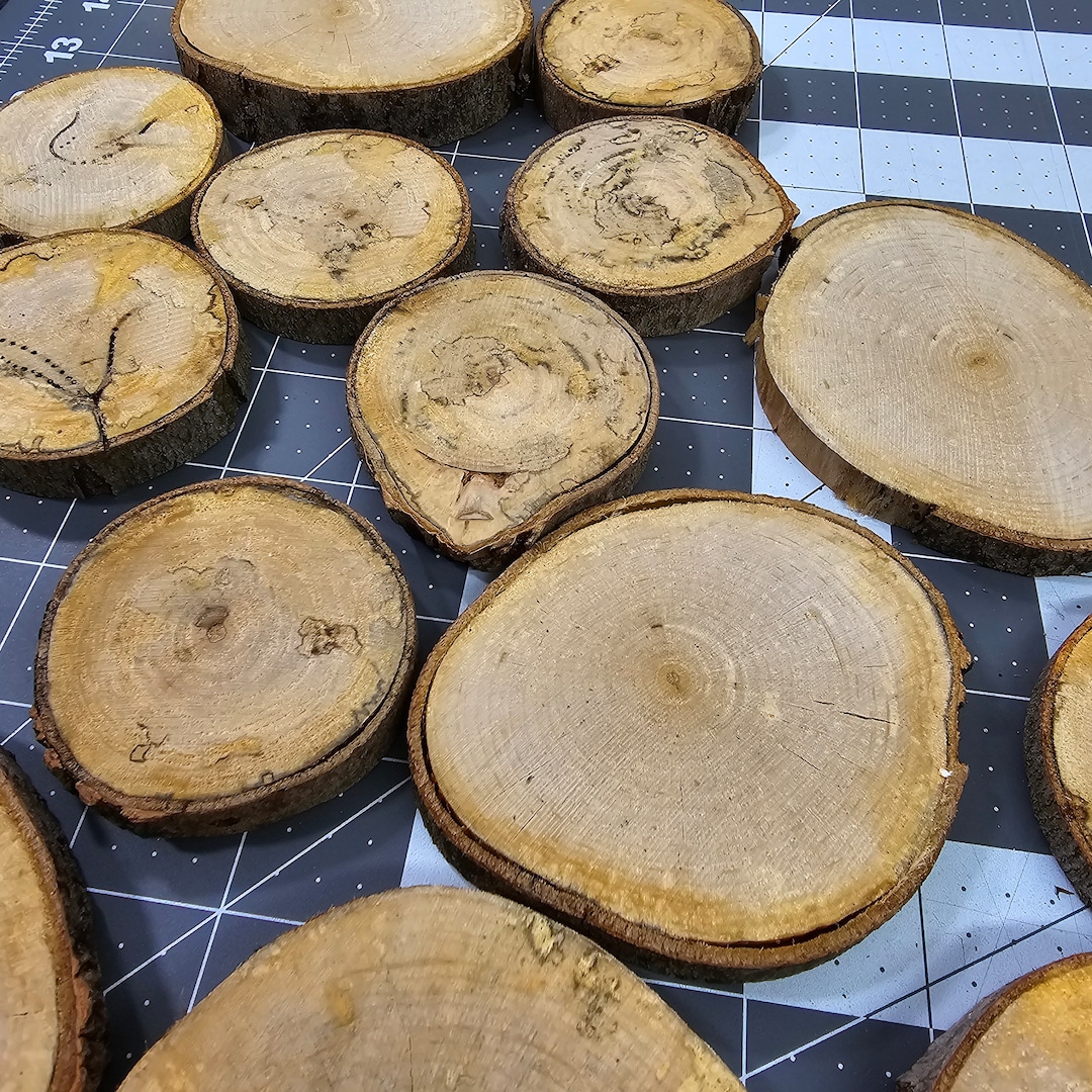 12 Random Maple Wood Slices for Crafts, Ambrosia/spalted and Plain, Dry ...