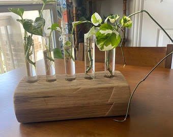 Reclaimed Oak Wood propagation station with glass test tubes included