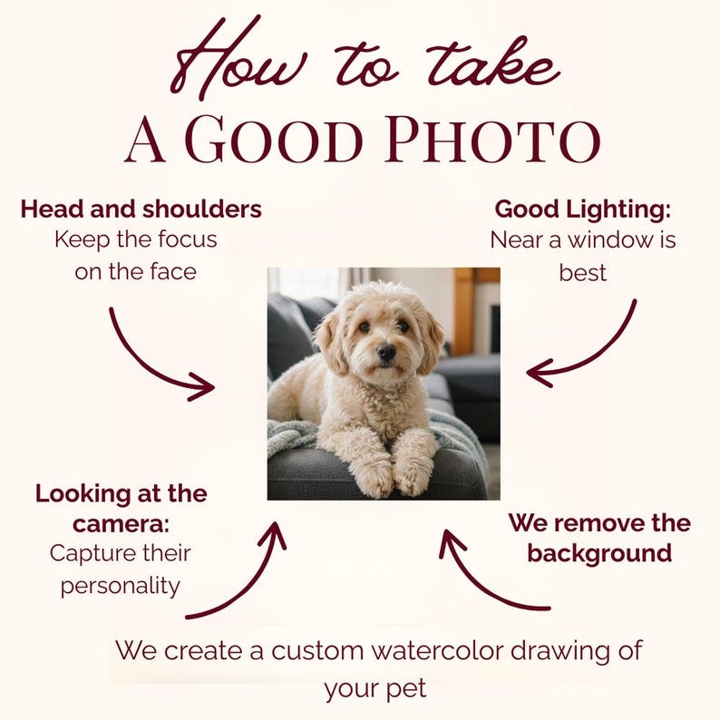May include: Image with text "How to take A GOOD PHOTO" and tips for pet photography. A fluffy, light-coloured dog is the central focus. Text includes "Head and shoulders," "Good Lighting," "Looking at the camera," and "We remove the background."