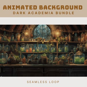 May include: Animated background featuring a dark academia themed room with shelves filled with glass bottles and jars, plants, and a window with a view of a stormy night sky. The text "SEAMLESS LOOP" is at the bottom of the image.