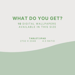 Op de afbeelding: Tekst op een witte achtergrond met een groene golf aan de onderkant. De tekst luidt "WHAT DO YOU GET? 10 DIGITAL WALLPAPERS AVAILABLE IN THIS SIZE TABLET/IPAD 2732 X 2048 4:3 RATIO"