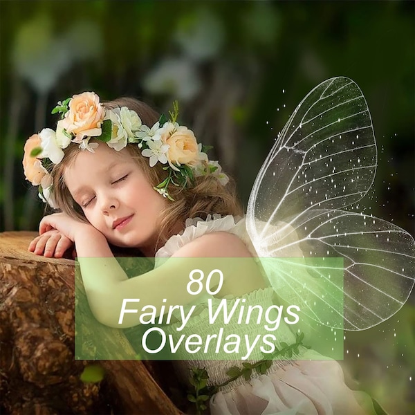 80 Fairy Wing Photoshop Overlays; Transparent Colorful Wing Png Clipart Overlay, Photography Edit, Maternity Portrait Sparkly Download