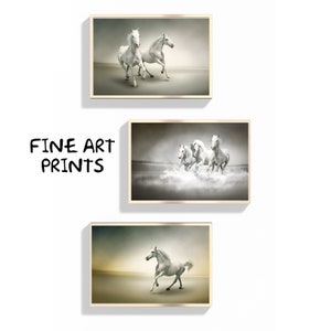 3 Horse Portraits Fine Art Print Set, Set of 3 Horse Wall Art, Unframed Physical Horse Poster Wall Art Decor, Exhibition Vintage Wallart