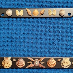 May include: Black metal license plate frame decorated with various seashells, including scallops, clams, and sand dollars.