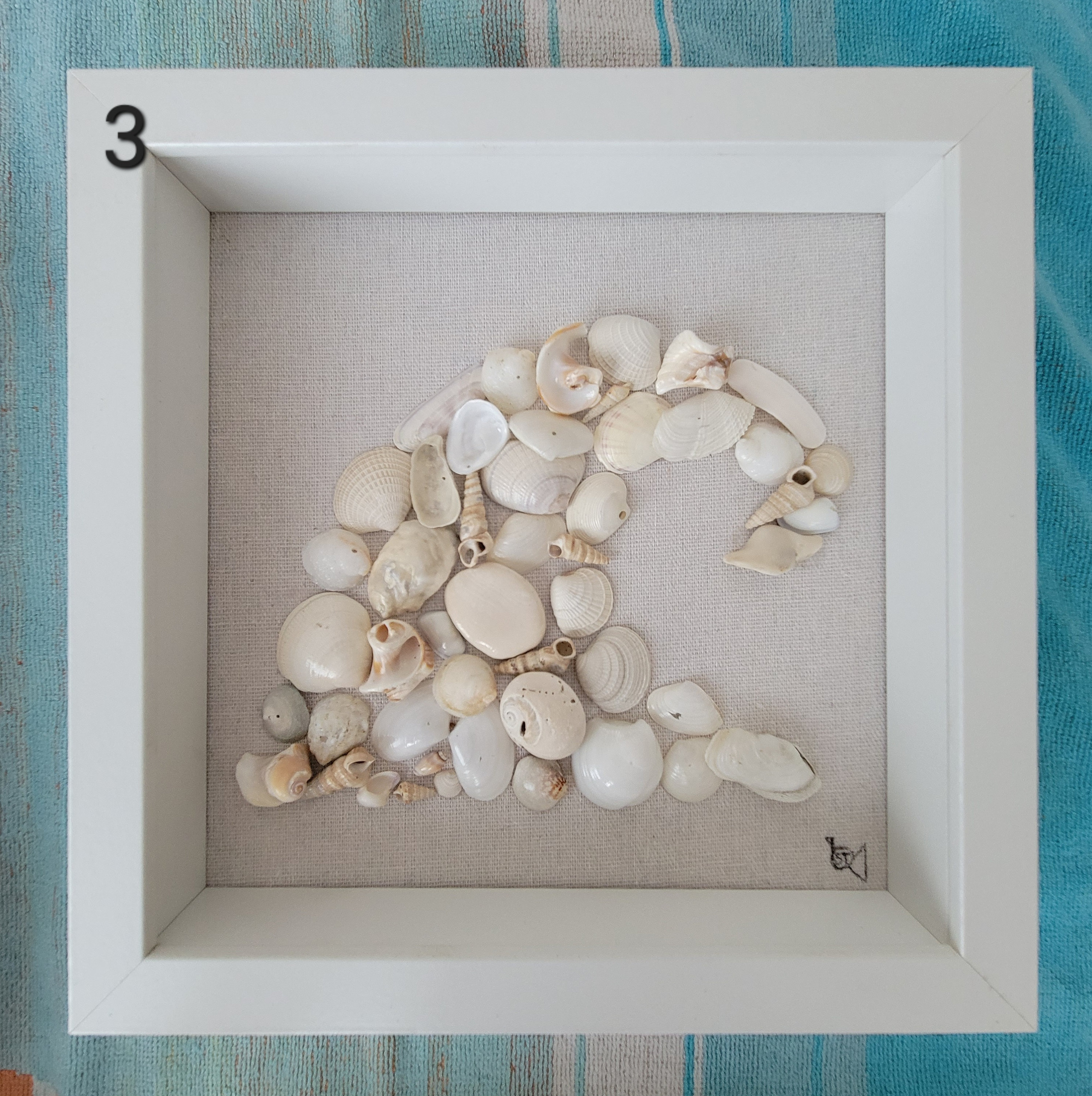 Assorted Shell Art - Etsy