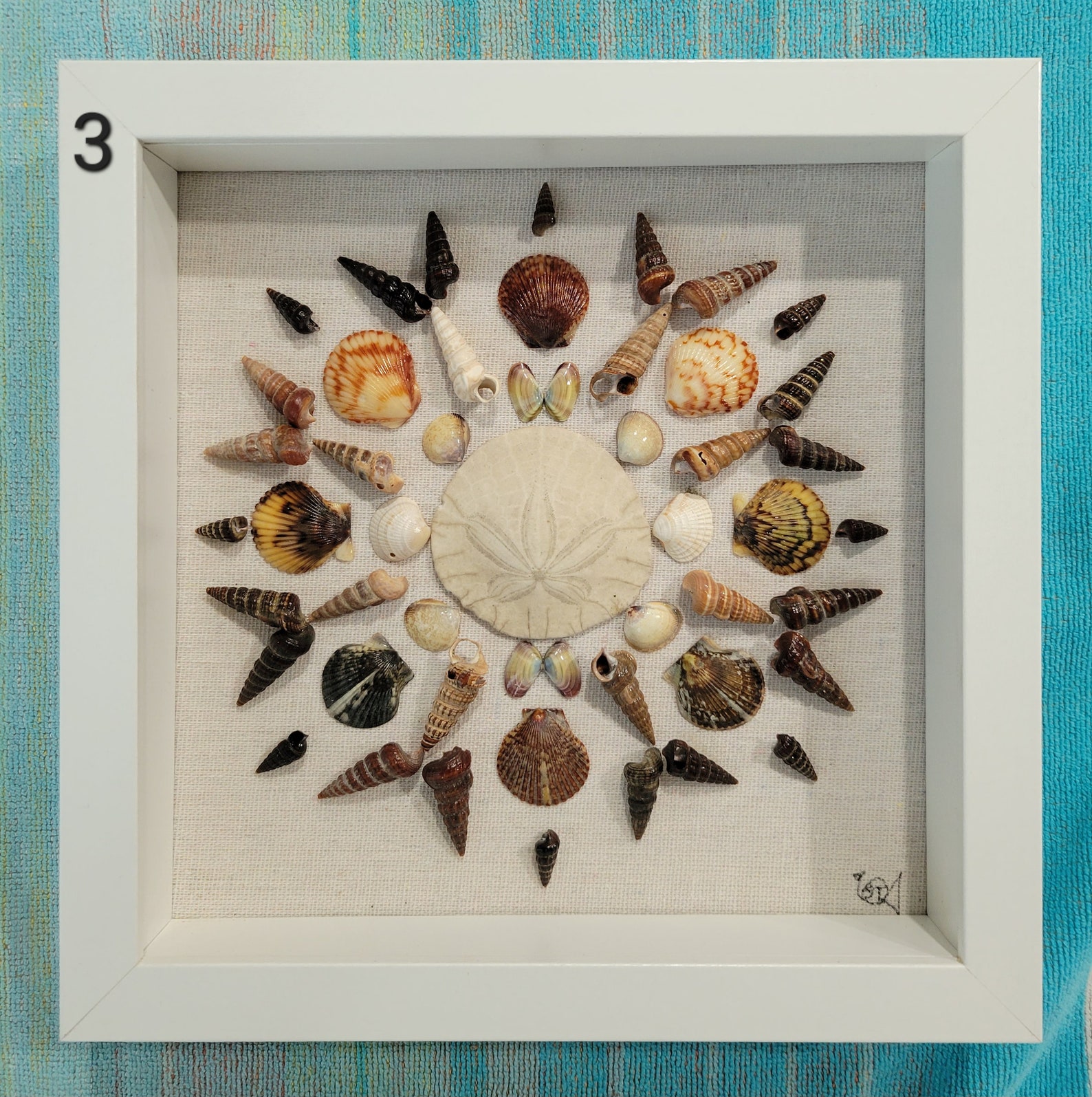 Assorted Shell Art 2 - Etsy