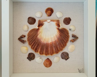 Scallop Shell Art