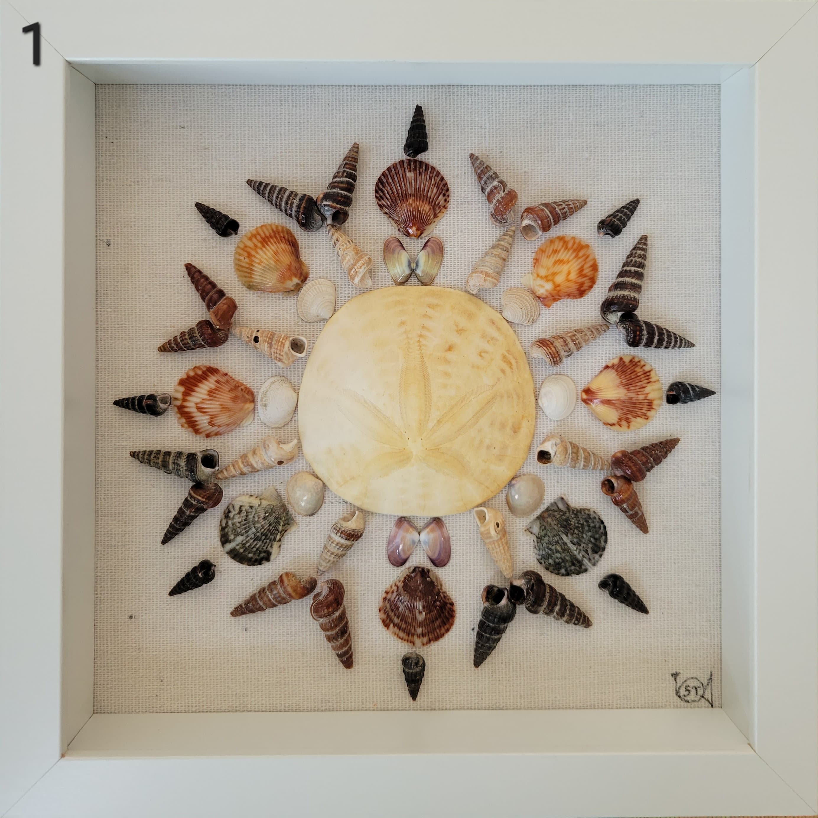 Assorted Shell Art - Etsy