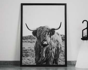 Framed Highland Cow Canvas Print: Black and White Scottish Wall Art