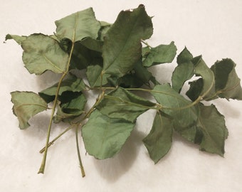 Organic rose leaves