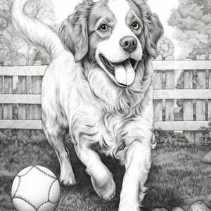 Coloring Pages,  pretty girls, queen, princess, dogs, pets, cats, digital, printing, black and white, art, drawing, colorful, printable,