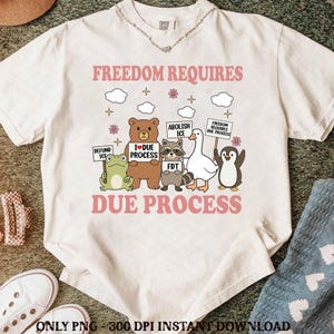 Freedom Requires Due Process Abolish Ice Goose Bear Raccoon Anti Trump Png, Human Rights Activist Png, Immigration Human Rights Png
