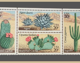 EllenStamps - Sellos de EE. UU. - 1981 SC#1942–1945 - Sellos de cactus del desierto - Nuevos en inventario - Usados para franqueo de eventos, artículos de colección y registro de artículos basura