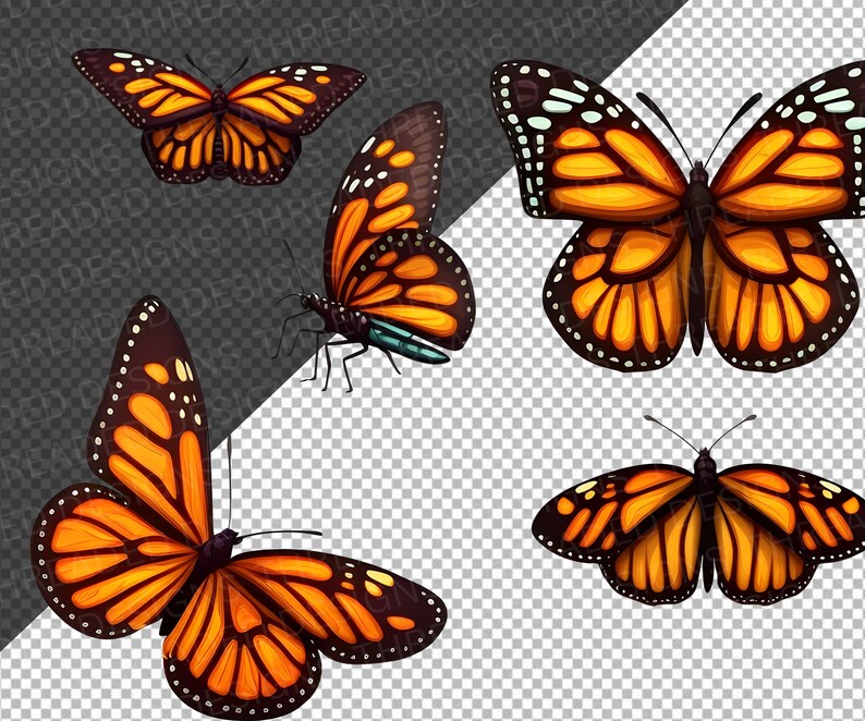 Butterfly SVG Monarch Butterfly SVG Bundle Butterfly Cricut - Etsy