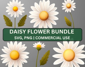 Daisy SVG Bundle, Daisy Flower Clipart, Daisy Realistic svg, Daisies svg for Cricut, Daisy Flower png, Daisy Clipart, Daisy Wildflower svg