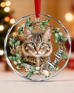 Custom Cat Photo Christmas Ornament, Pet Memorial Keepsake By FunnyDaisy Designed by FunnyDaisy Shop owned by Daisy 3 years on Etsy