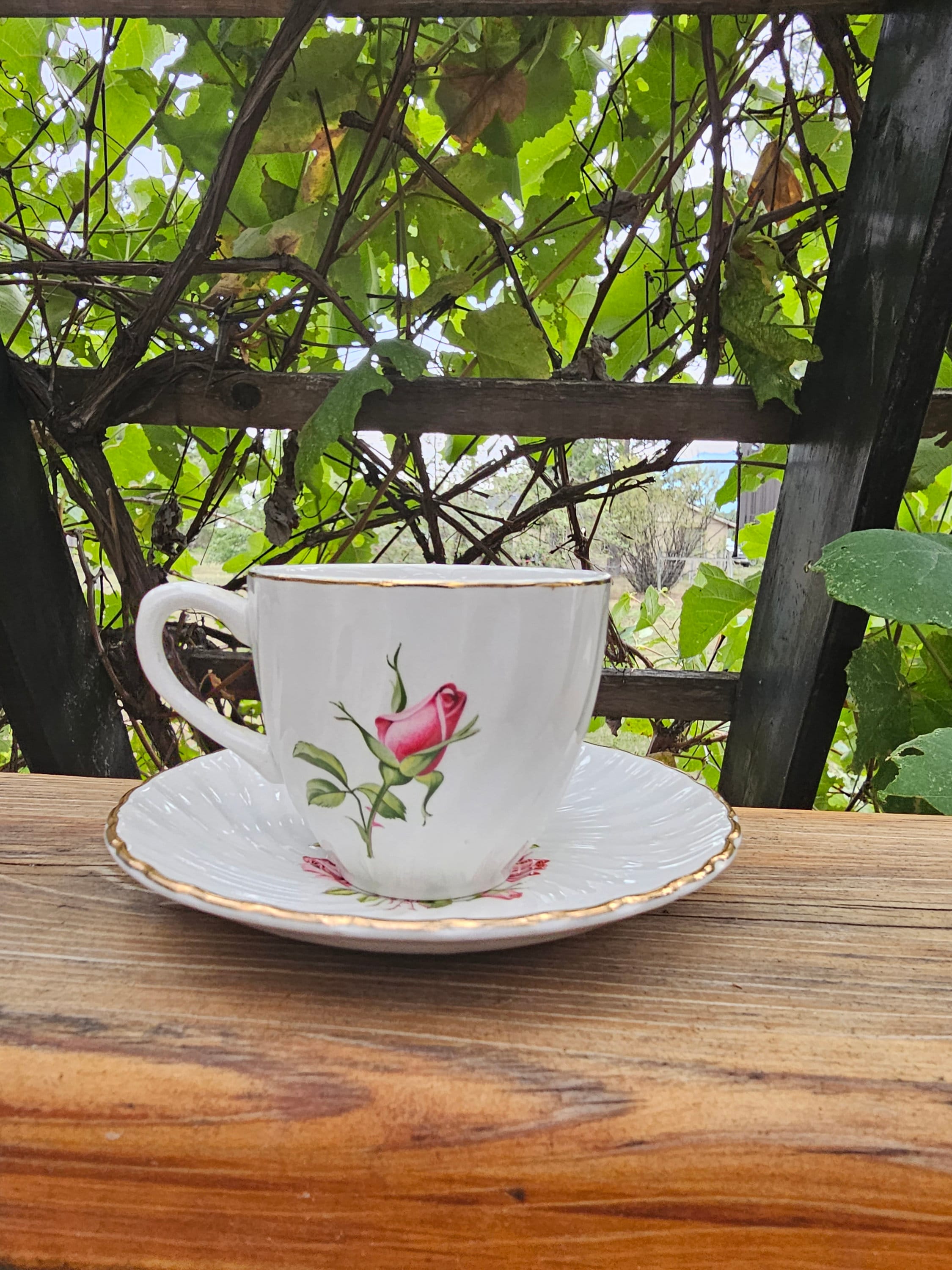 Royal Wessex Tea Cup UK