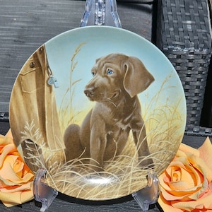 Puede incluir: Plato decorativo con un cachorro marrón de ojos azules en un campo de hierba. A la izquierda, una chaqueta beige y un silbato. El plato se exhibe sobre un soporte transparente, con rosas naranjas en primer plano.